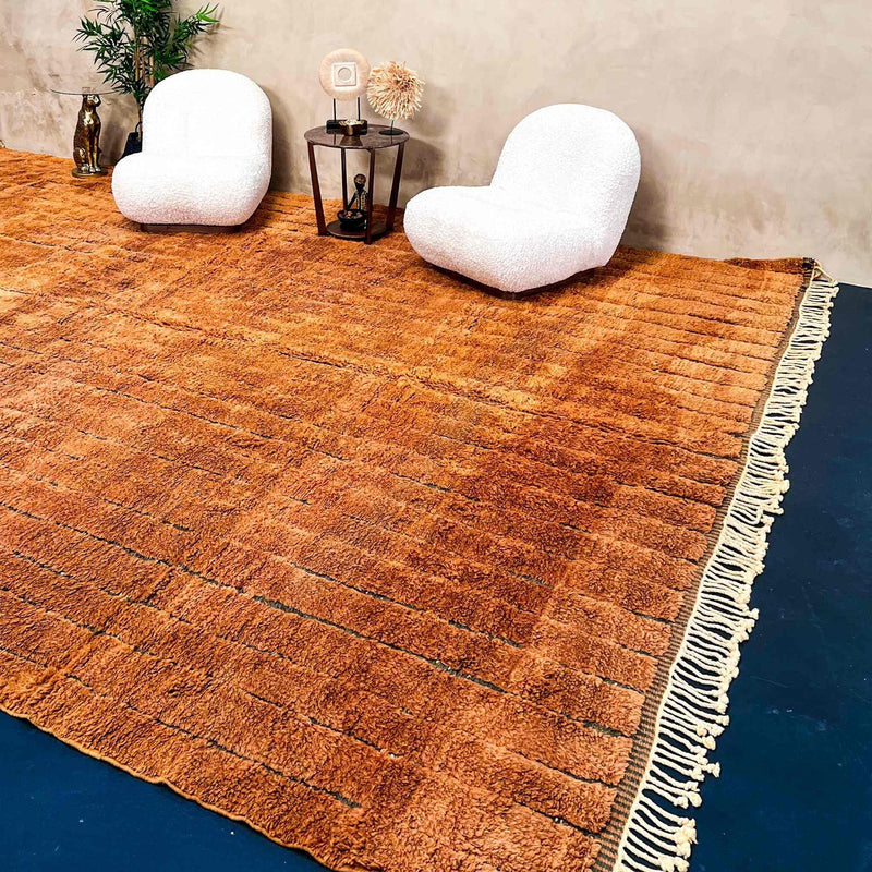 Beni Rugs Noura Beni Mrirt Moroccan Rug 12.1 X 15.9 ft /  370 X 485 cm 