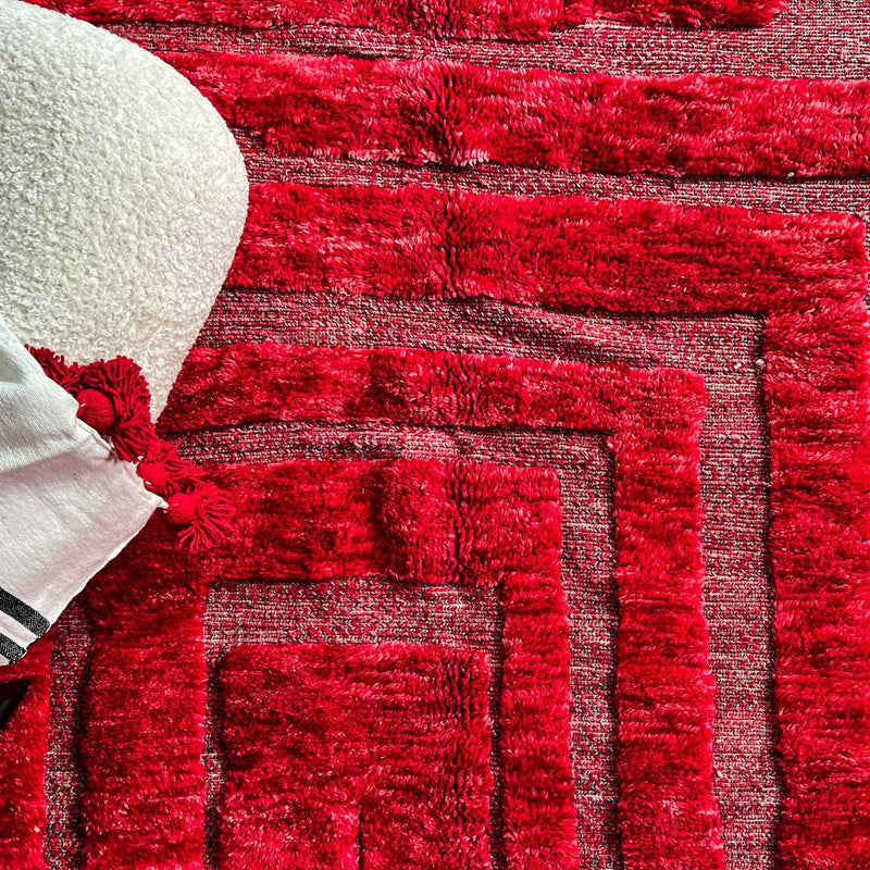 Ruby Rouge, Luxury Beni Mrirt Rug 8.2 x 10.1 feet / 250 x 310 cm - Ettilux Home