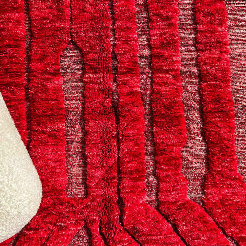 Ruby Rouge, Luxury Beni Mrirt Rug 8.2 x 10.1 feet / 250 x 310 cm - Ettilux Home