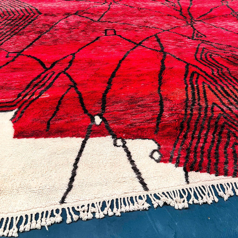 Beni Rugs, Warda Beni Mrirt Rug 10.1 X 13.3 ft /  310 X 406 cm 